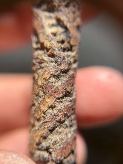 เปิดตะกรุดจระเข้ขบฟันยาว 3.8 นิ้ว ไม่ทราบที่(มีสินค้าหลายรายการกดเข้ามาดูในโปรไฟล์ได้เลยครับ) รูปที่ 9