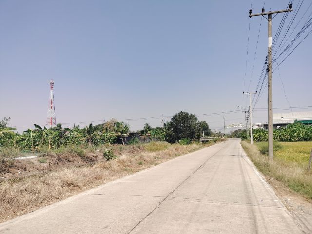 ขายที่ดิน บางเลน จ.นครปฐม ติดถนน 4 เลน เส้นหลัก  บางเลน-ดอนตูม  ตรงข้ามที่ดินติดคลองสาธารณะ  รูปที่ 2