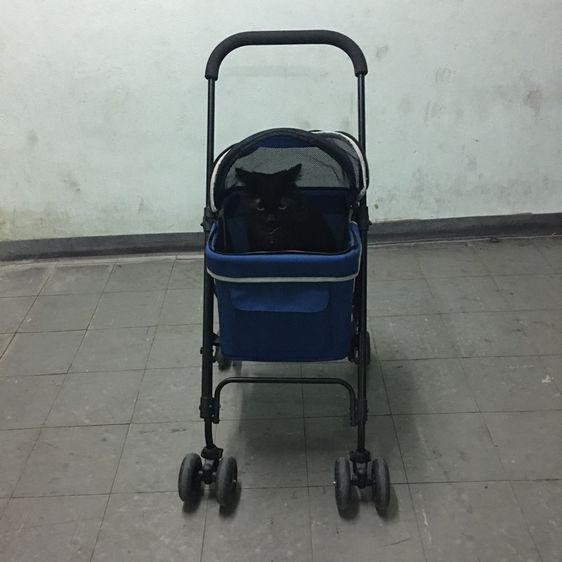 รถเข็นสัตว์เลี้ยง ยี่ห้อ Ibiyaya แบบ4ล้อ รุ่น FS1732 Astro Go Lite Pet Stroller รับน้ำหนักได้ 8 Kg.พับเก็บได้ มือสอง สภาพใหม่กริบ รูปที่ 12