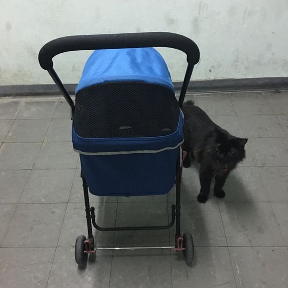 รถเข็นสัตว์เลี้ยง ยี่ห้อ Ibiyaya แบบ4ล้อ รุ่น FS1732 Astro Go Lite Pet Stroller รับน้ำหนักได้ 8 Kg.พับเก็บได้ มือสอง สภาพใหม่กริบ รูปที่ 8