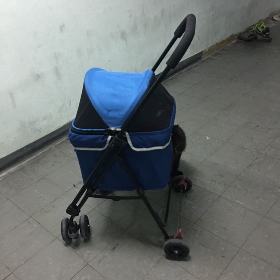 รถเข็นสัตว์เลี้ยง ยี่ห้อ Ibiyaya แบบ4ล้อ รุ่น FS1732 Astro Go Lite Pet Stroller รับน้ำหนักได้ 8 Kg.พับเก็บได้ มือสอง สภาพใหม่กริบ รูปที่ 7