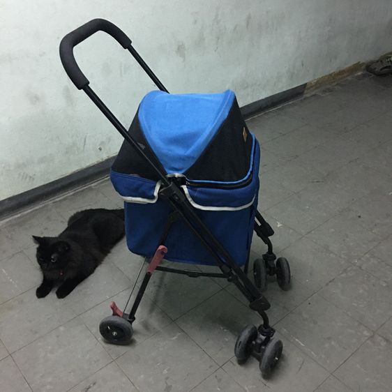 รถเข็นสัตว์เลี้ยง ยี่ห้อ Ibiyaya แบบ4ล้อ รุ่น FS1732 Astro Go Lite Pet Stroller รับน้ำหนักได้ 8 Kg.พับเก็บได้ มือสอง สภาพใหม่กริบ รูปที่ 5