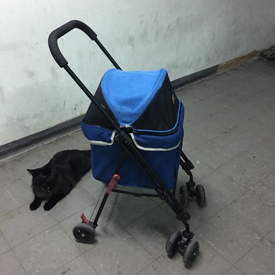 รถเข็นสัตว์เลี้ยง ยี่ห้อ Ibiyaya แบบ4ล้อ รุ่น FS1732 Astro Go Lite Pet Stroller รับน้ำหนักได้ 8 Kg.พับเก็บได้ มือสอง สภาพใหม่กริบ รูปที่ 4
