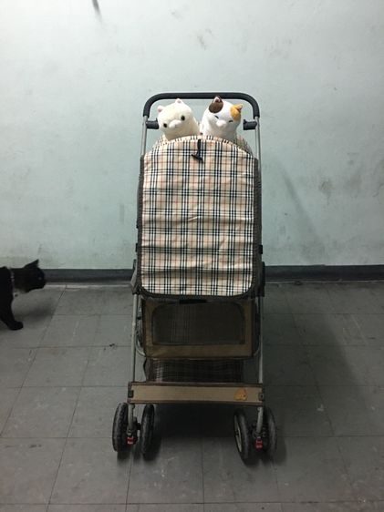 รถเข็นสำหรับสัตว์เลี้ยง มือสอง สภาพดี คันใหญ่ ขนาดกว้าง พับเก็บได้พกพาได้ 4ล้อ