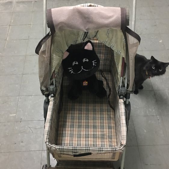 รถเข็นสำหรับสัตว์เลี้ยง มือสอง สภาพดี คันใหญ่ ขนาดกว้าง พับเก็บได้พกพาได้ 4ล้อ รูปที่ 8