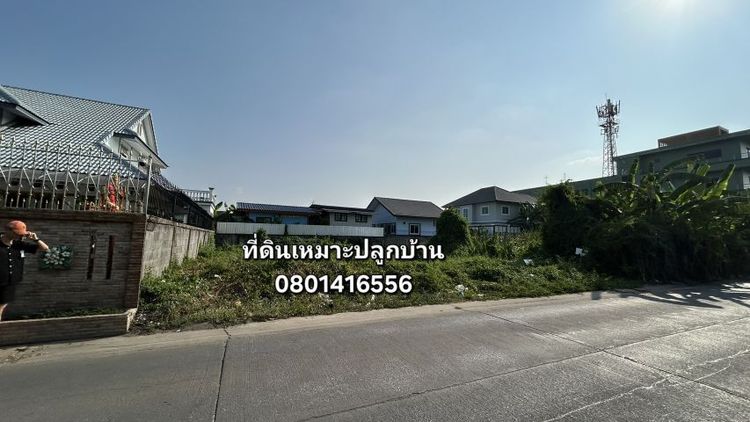 ใช่ ที่ดินเปล่า 100 ตรว. ถมแล้ว อยู่ลำลูกกา ซ.ปั้นทองนิเวศน์ 2 เหมาะปลูกบ้าน💥💥 รูปที่ 2