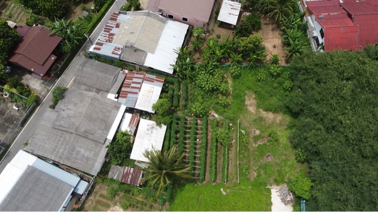 ใช่ ที่ดิน ต.แม่แตง จ.เชียงใหม่ รูปที่ 4