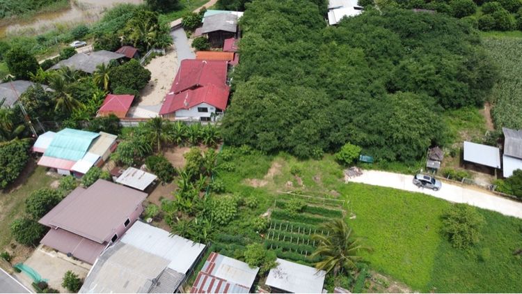 ใช่ ที่ดิน ต.แม่แตง จ.เชียงใหม่ รูปที่ 3