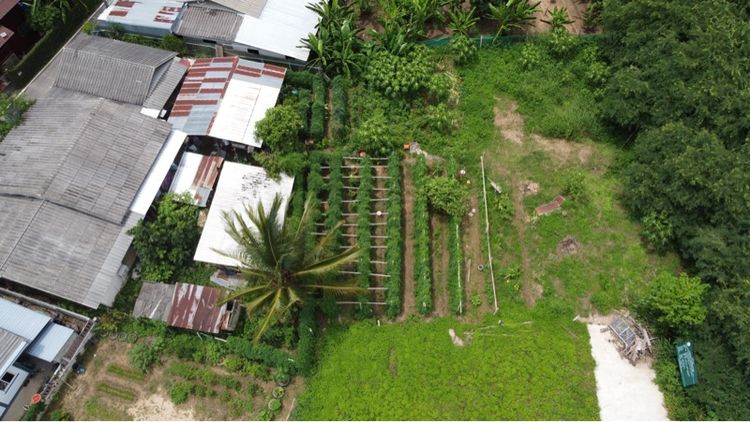 ใช่ ที่ดิน ต.แม่แตง จ.เชียงใหม่ - Land for Sale – Owner Selling รูปที่ 2