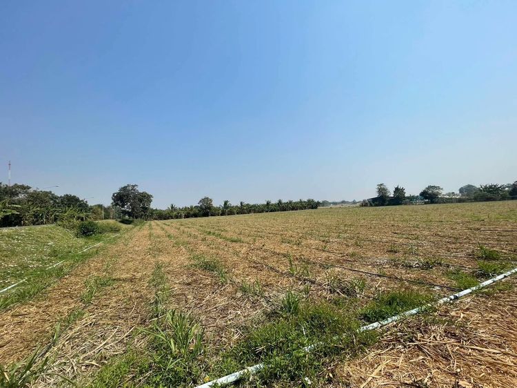 ขายที่ดินอู่ทอง สุพรรณบุรี 20 ไร่ 16.40 ลบ. รูปที่ 3
