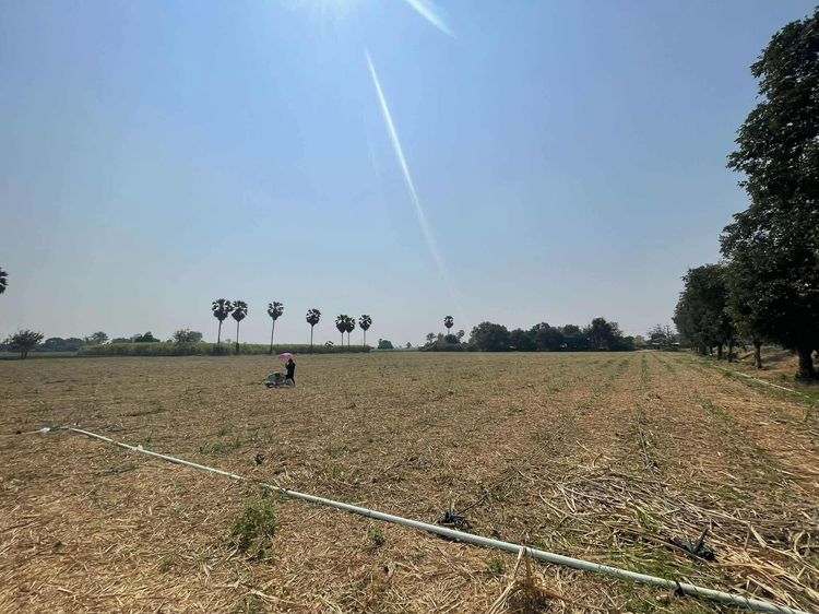 ขายที่ดินอู่ทอง สุพรรณบุรี 20 ไร่ 16.40 ลบ. รูปที่ 4