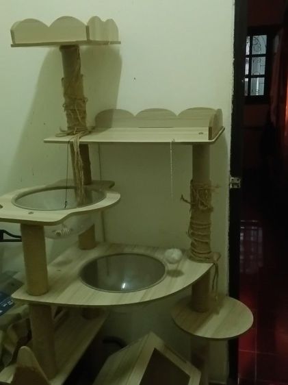 บ้านน้องแมว