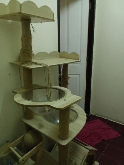 บ้านน้องแมว รูปที่ 4