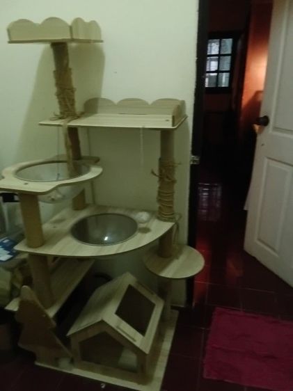 บ้านน้องแมว รูปที่ 5