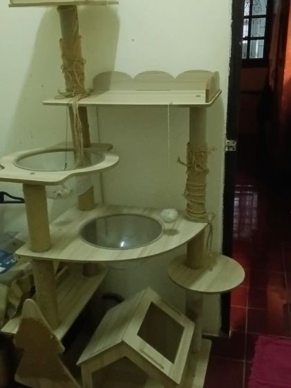 บ้านน้องแมว รูปที่ 3