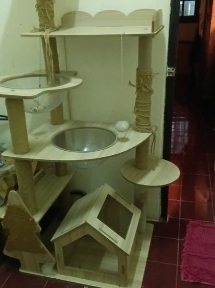 บ้านน้องแมว รูปที่ 2