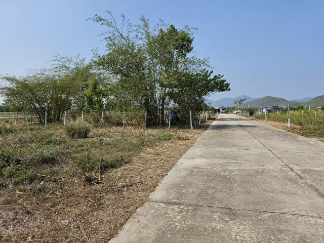 ที่ดินเปล่า โฉนดครุฑแดง รูปที่ 4