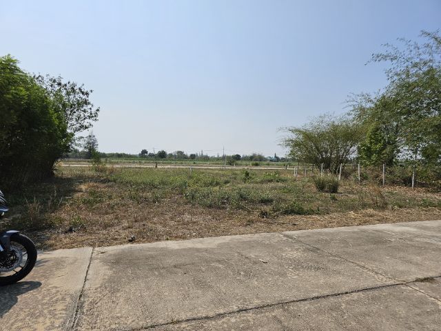 ที่ดินเปล่า โฉนดครุฑแดง รูปที่ 2