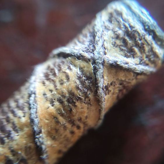 ตะกรุดเก่าๆ รูปที่ 6