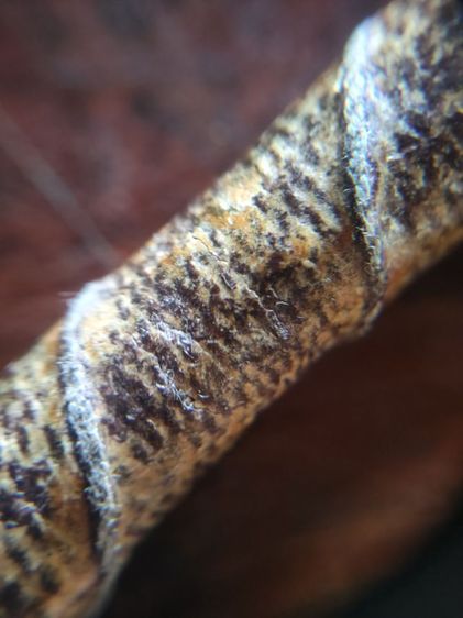 ตะกรุดเก่าๆ รูปที่ 8