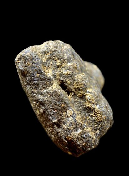 หลวงปู่ทวดเนื้อว่านปี 97 รูปที่ 3