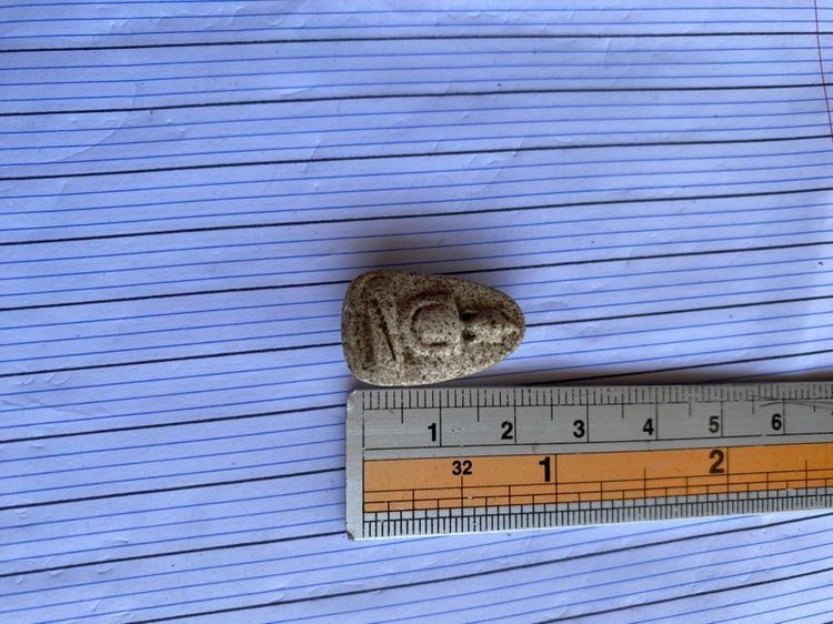 ปล่อยเช่าพระวัดพลับสององค์ตามรูป รูปที่ 5