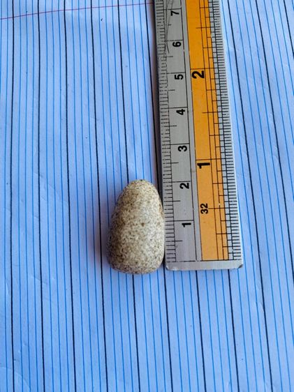 ปล่อยเช่าพระวัดพลับสององค์ตามรูป รูปที่ 4