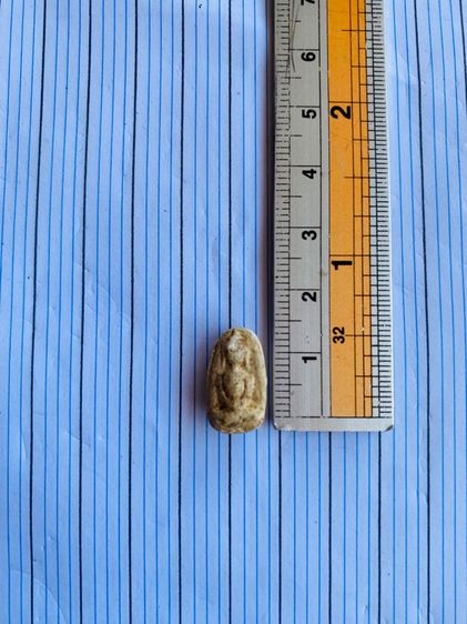 ปล่อยเช่าพระวัดพลับสององค์ตามรูป รูปที่ 3