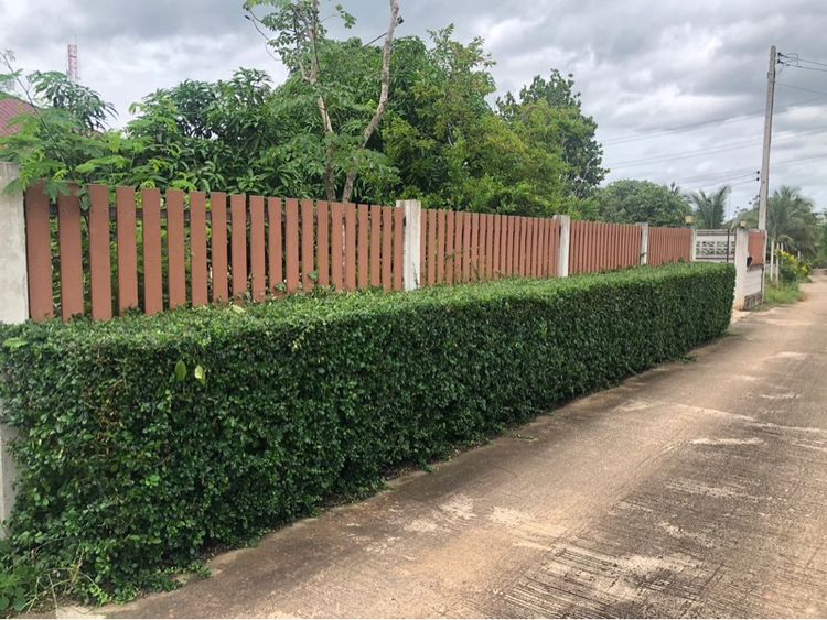 มีบางส่วน 2018 ใช่ บ้านเดี่ยวพร้อมที่ดิน 204 ตรว. รูปที่ 2