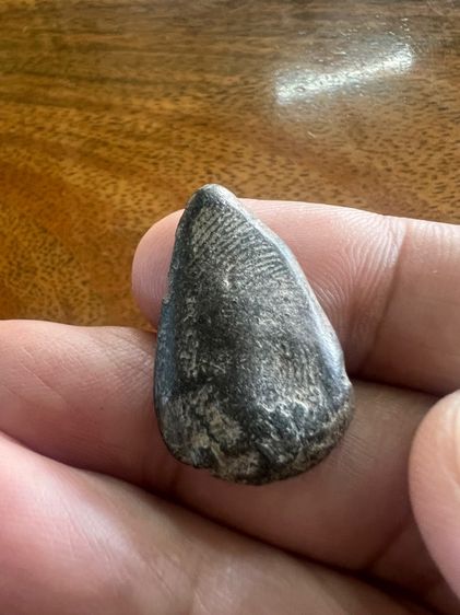 พระกีบบัวกำแพง รูปที่ 2