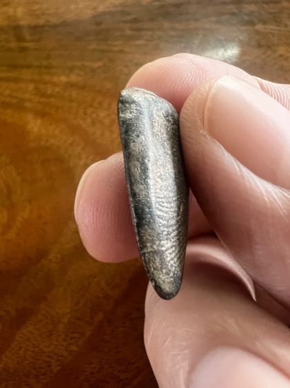 พระกีบบัวกำแพง รูปที่ 6