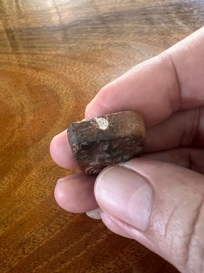 หลวงพ่อปานขี่ไก่ รูปที่ 7