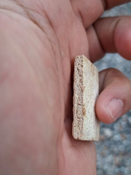 สมเด็จ รูปที่ 8