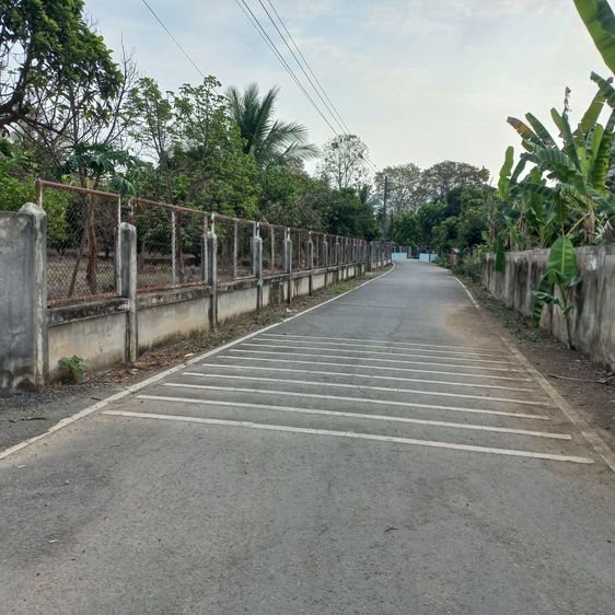 บ้านและสวน