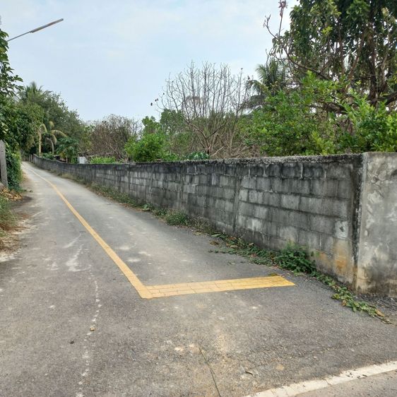 บ้านและสวน รูปที่ 2