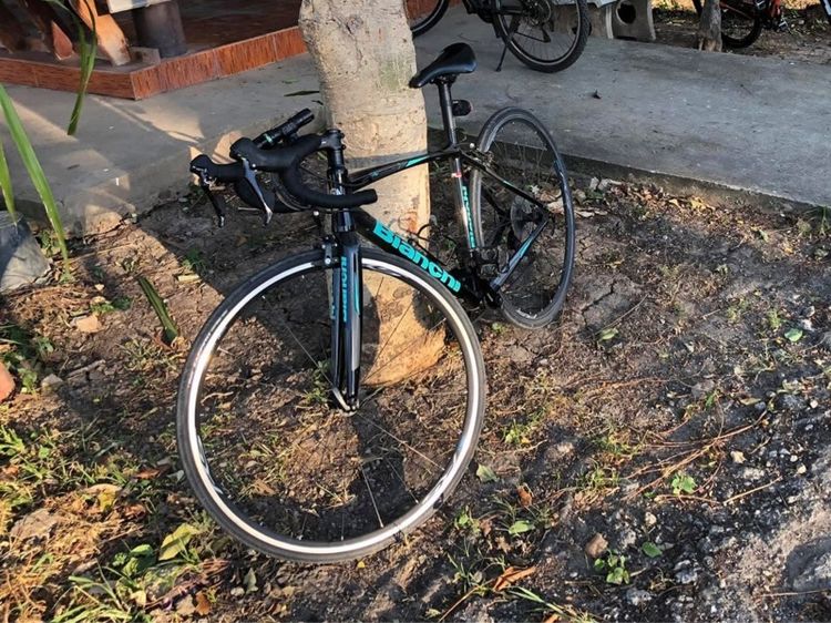 Bianchi Nirone 7 105