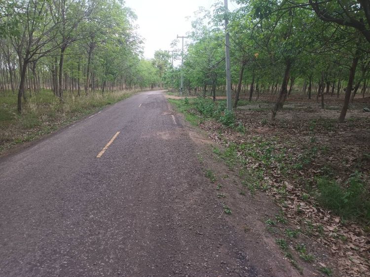 ขายที่ดิน บ้านดุง  34 ไร่ รูปที่ 4