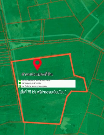 ขายที่ดิน 79 ไร่ ใกล้โรงโม่หิน อ.เอราวัณ จ.เลย รูปที่ 2