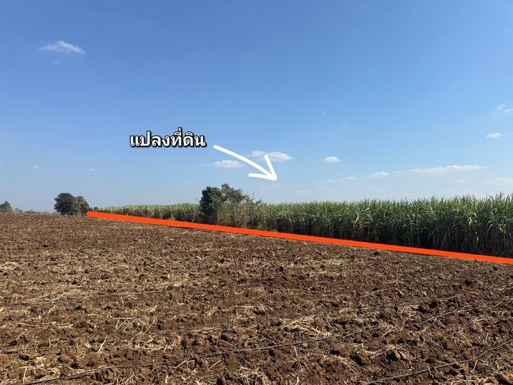 ขายที่ดิน 79 ไร่ ใกล้โรงโม่หิน อ.เอราวัณ จ.เลย รูปที่ 3