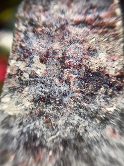 พระร่วงยืนพิมพ์ขาถ่าง รูปที่ 9