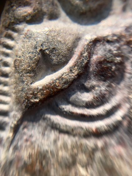 พระร่วงยืนพิมพ์ขาถ่าง รูปที่ 7