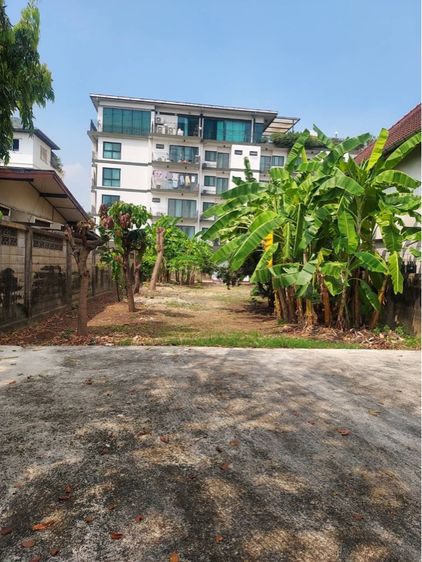 ตกแต่งครบ ขายบ้านเดี่ยว 2 ชั้น 198 ตรว. ลาดพร้าว ซอย 12 รูปที่ 3