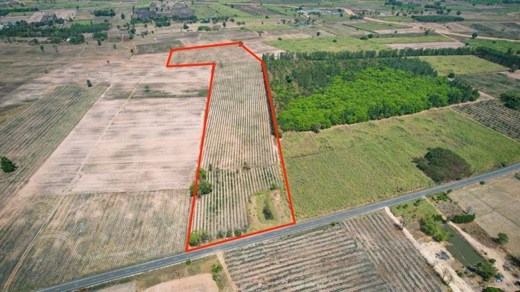 ใช่ ขายที่ดิน 47 ไร่  เหมาะทำโซล่าฟาร์ม รูปที่ 4