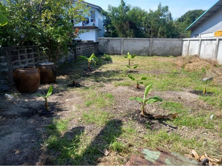 ที่ดินเปล่า