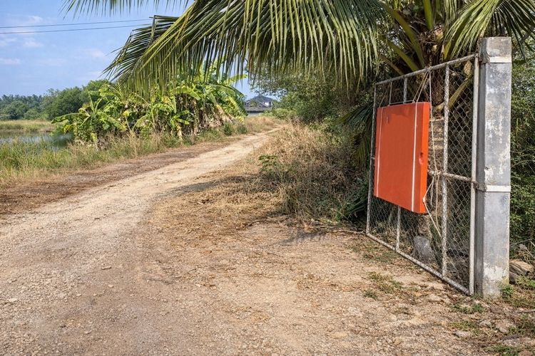 ขายที่ดินแปลงเดียว 2 โฉนด 250 ไร่ หนองหมู วิหารแดง สระบุรี เหมาะทำเกษตรและลงทุน รูปที่ 3