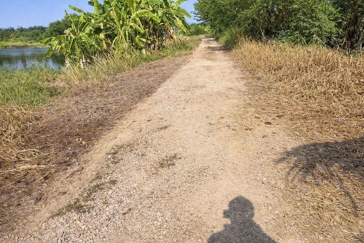 ขายที่ดินแปลงเดียว 2 โฉนด 250 ไร่ หนองหมู วิหารแดง สระบุรี เหมาะทำเกษตรและลงทุน รูปที่ 4