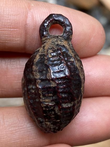 หมากทุยหลวงปู่เอี่ยม