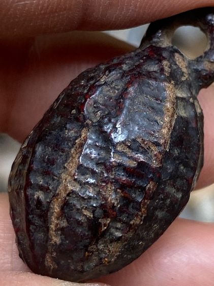 หมากทุยหลวงปู่เอี่ยม รูปที่ 6