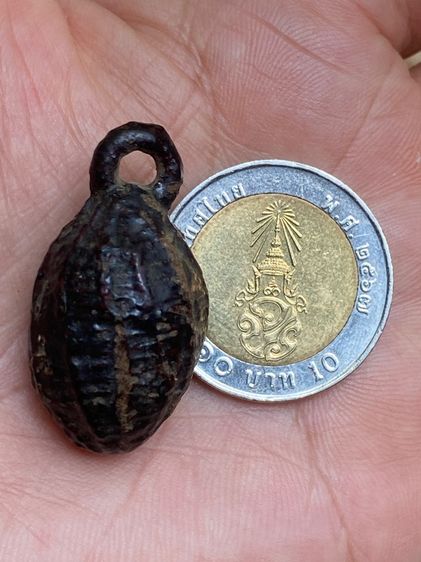 หมากทุยหลวงปู่เอี่ยม รูปที่ 10