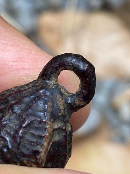 หมากทุยหลวงปู่เอี่ยม รูปที่ 5